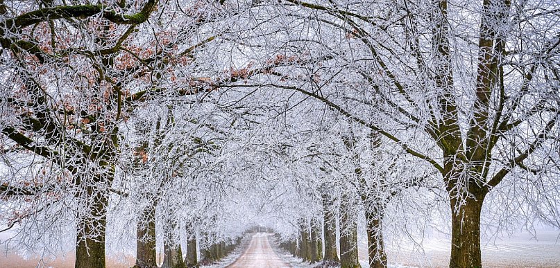 Pomorskie/ Ostrzeżenie przed silnym mrozem