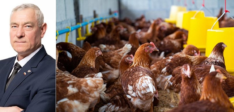 Terechów: padła propozycja budowy kurników w Raciniewie