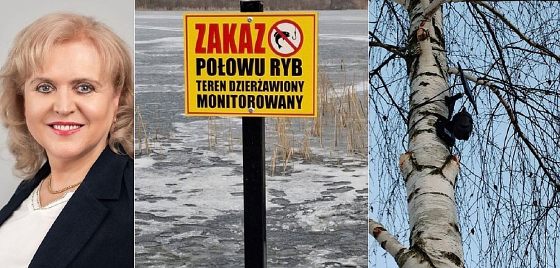 Dalecka: dzierżawca zamontował urządzenia nielegalnie