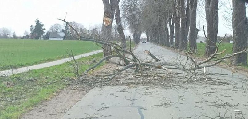 Pomorskie/ Energa Operator usunęła większość awarii po wichurze