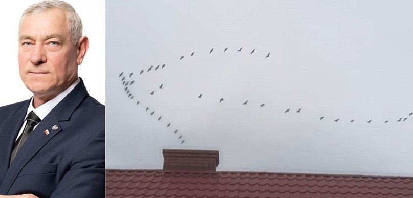 Terechów w sprawie korytarzy przelotów ptactwa chronionego. Jest wniosek do RDOŚ