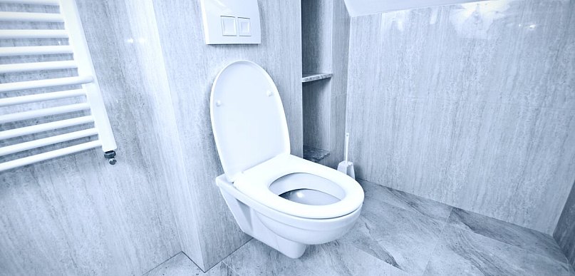 Bzdęga przyszedł prezentować WC?