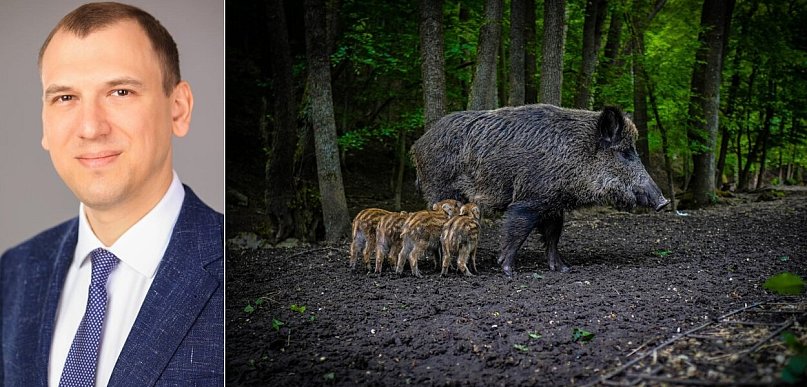 Pogorzleski: zdrowy rozsądek? Zaczyna się od ćwiartki... miliona złotych