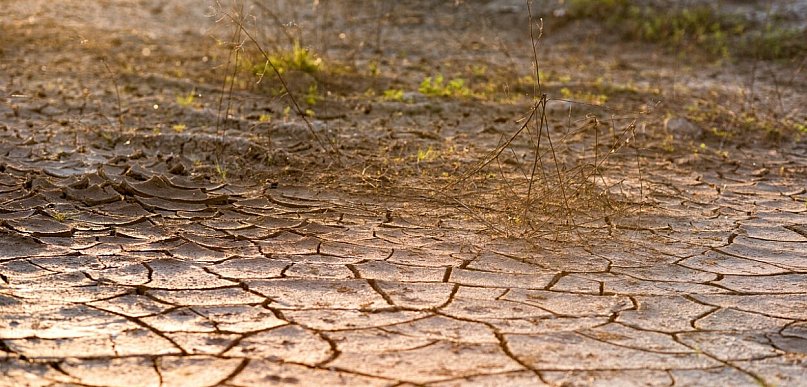 Susza/ Wody Polskie: 14 mln zł kar za nielegalny pobór wód podziemnych