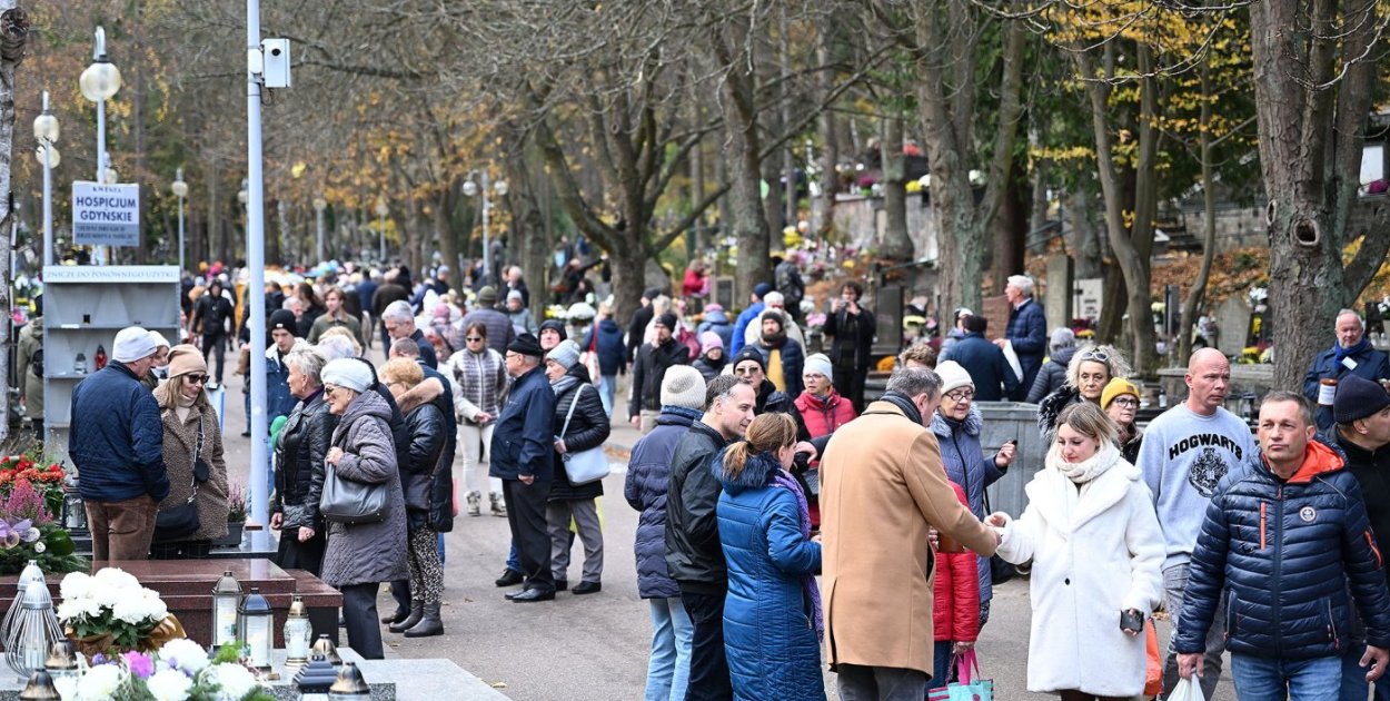 fot. Michał Puszczewicz