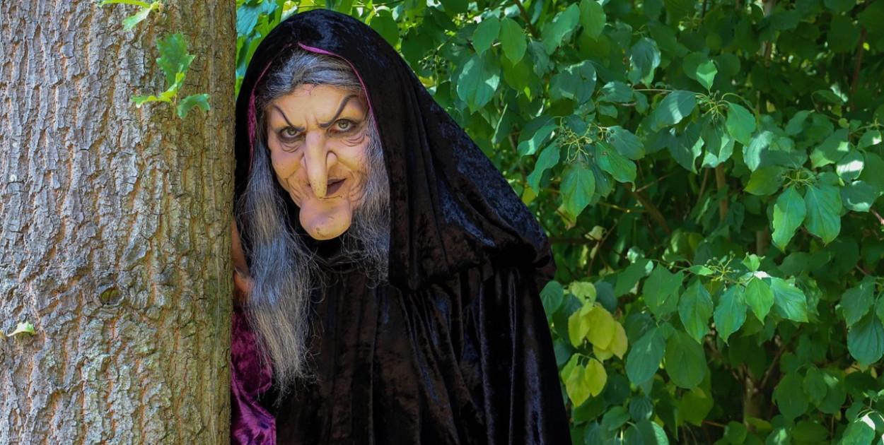 foto JStolp / pixabay.com