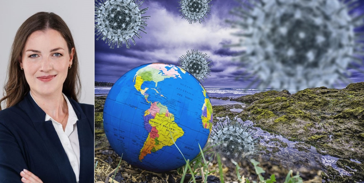 foto fernandozhiminaicela  / pixabay.com