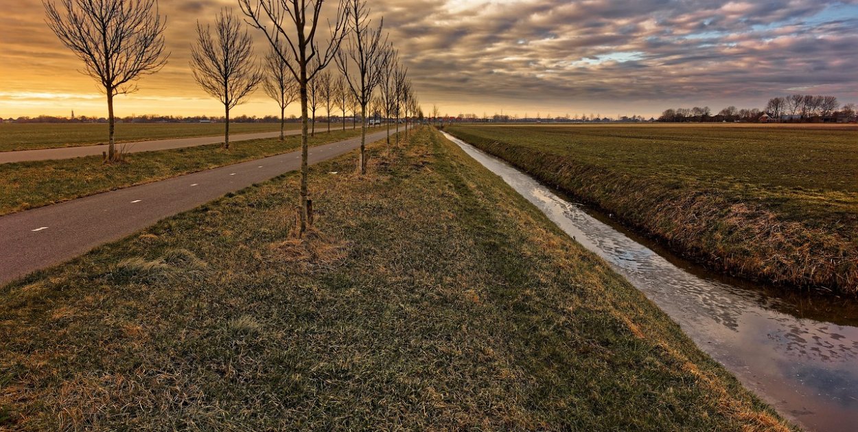 foto pixabay.com / zdjęcie ilustracyjne