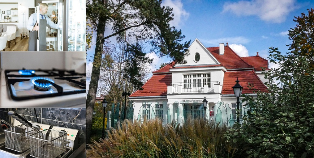 Foto: freepik.com / Stroganova/pixabay.com / planet_fox/pixabay.com