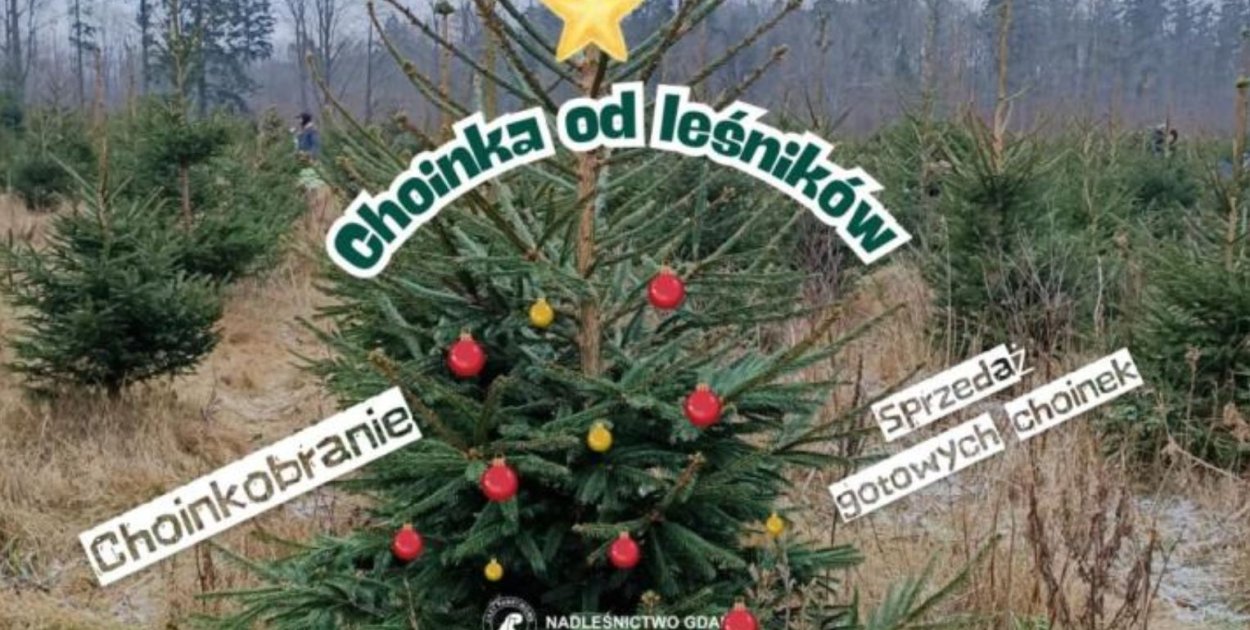 foto Nadleśnictwo Gdańsk