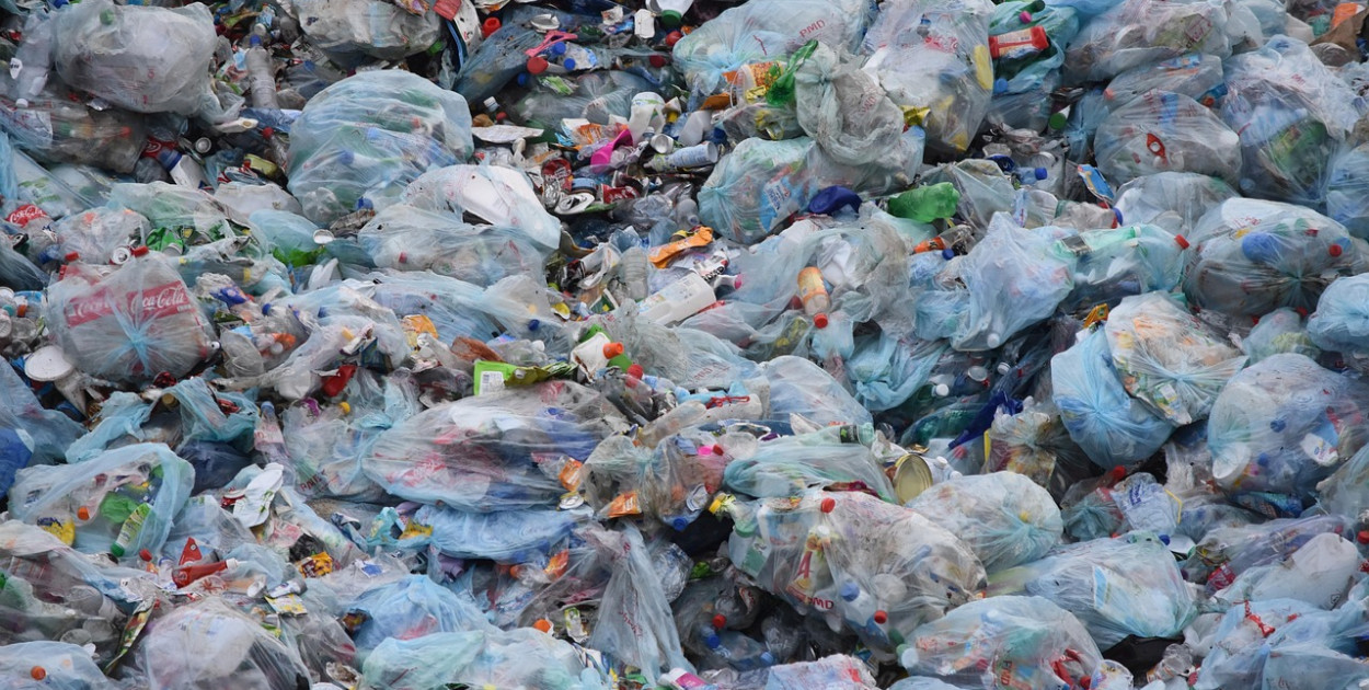 foto Ben_Kerckx / pixabay.com