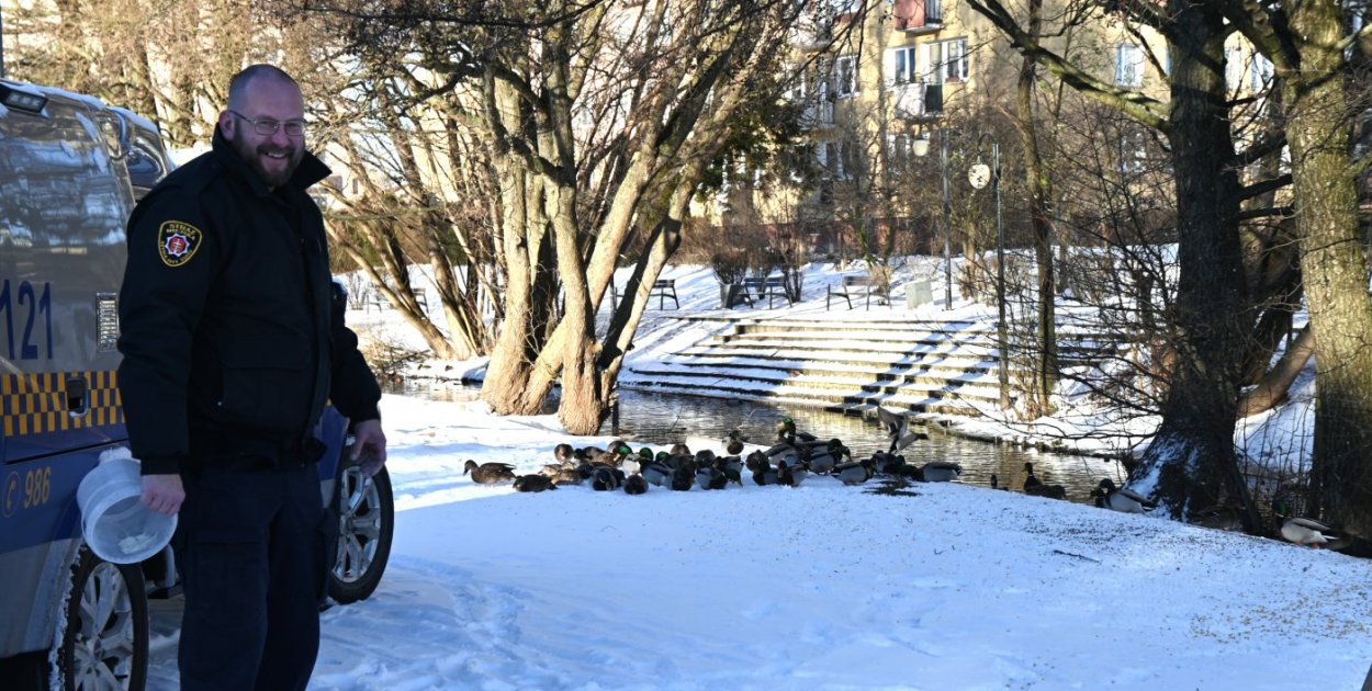 Leonard Wawrzyniak, rzecznik Straży Miejskiej w Gdyni, dokarmia ptaki wodne w Parku Kilońskim (fot. Aneta Marczak)