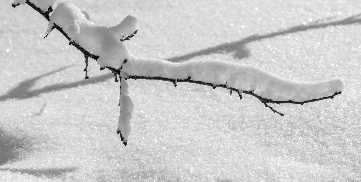 foto stafichukanatoly / pixabay.com (zdjęcie ilustracyjne)