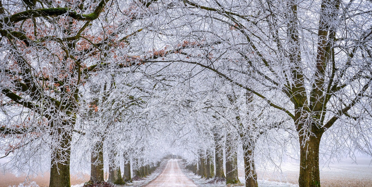 Pomorskie/ Ostrzeżenie przed silnym mrozem