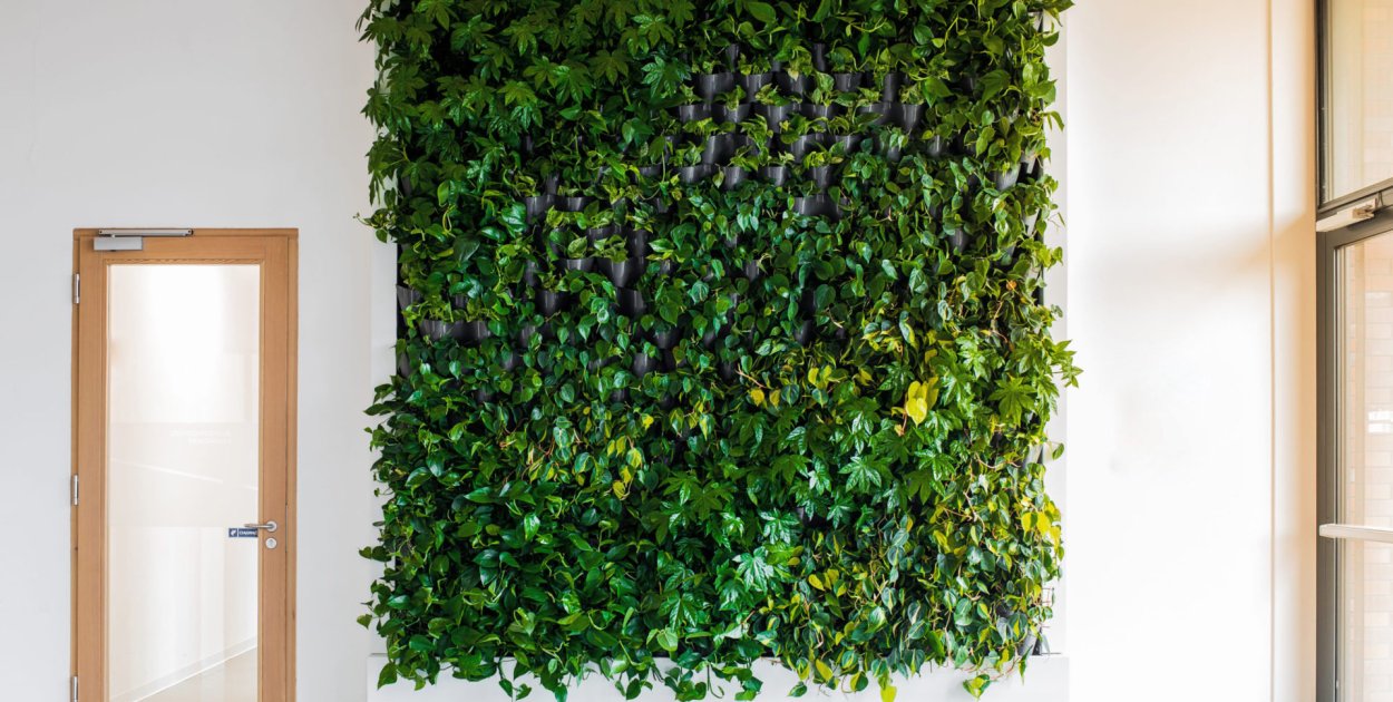 Zieleń w nowoczesnych przestrzeniach pracy