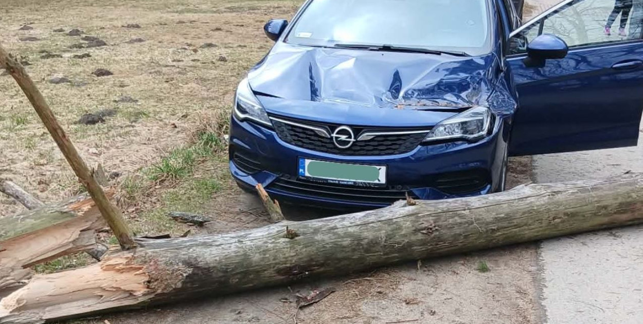 Pomorskie/ Strażacy interweniowali ponad 80 razy w związku z silnym wiatrem