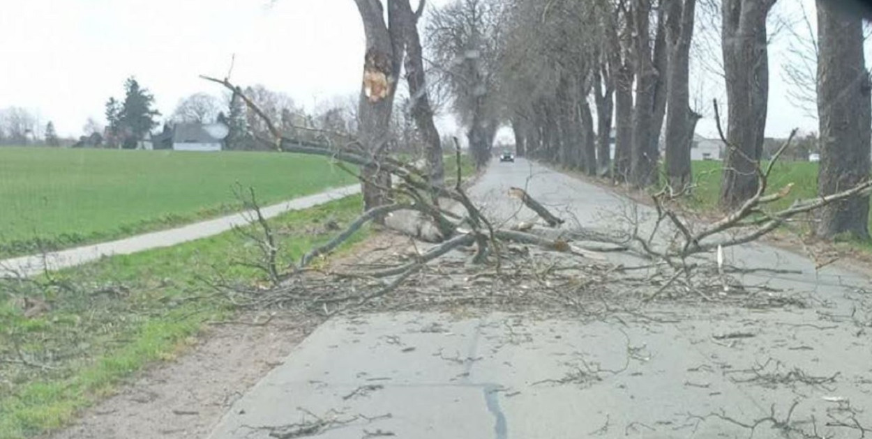 Pomorskie/ Energa Operator usunęła większość awarii po wichurze