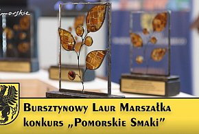 Bursztynowy Laur Marszałka Województwa Pomorskiego